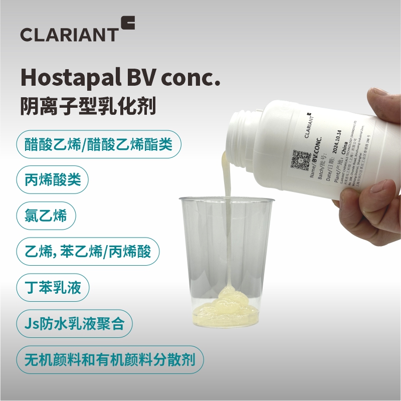 BV conc. 傾斜（800）.jpg