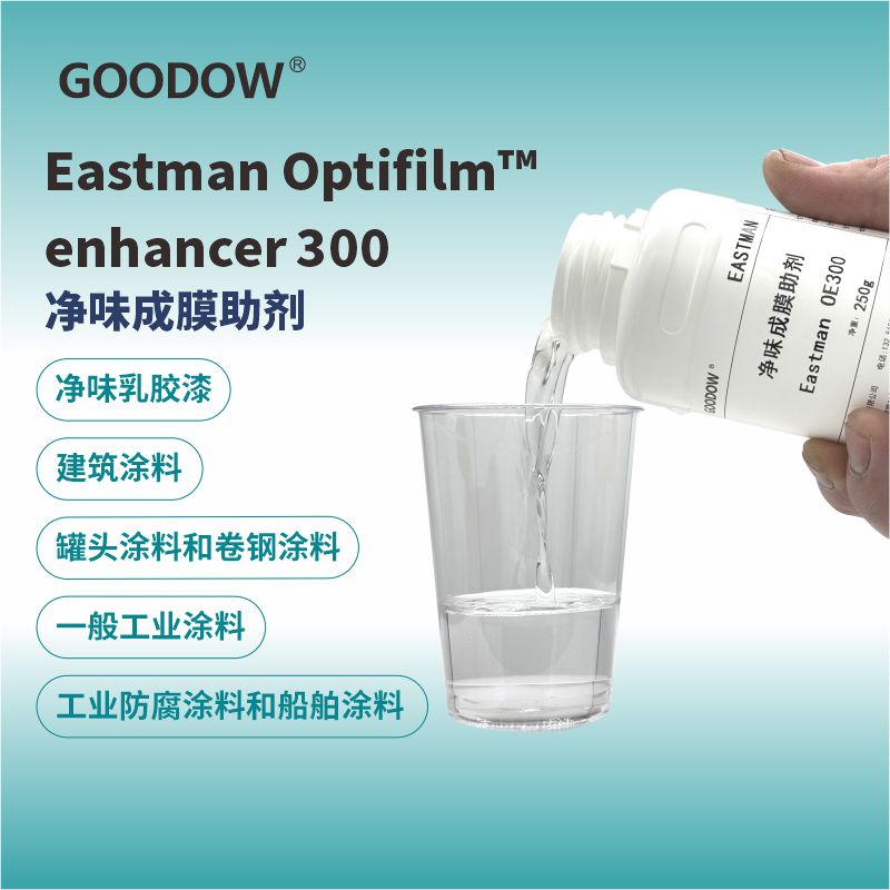 2024-11-19-enhacer 30-傾斜（800）.jpg